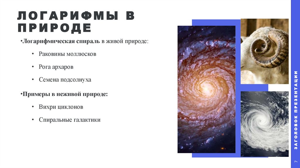 Логарифмы в природе