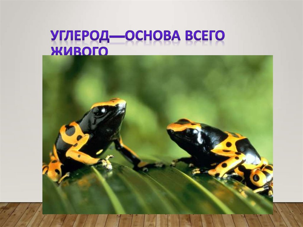 Углерод—основа всего живого