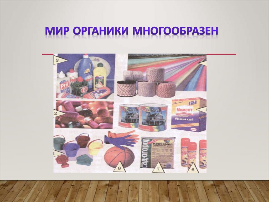 Мир органики многообразен