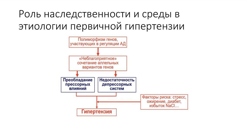 Роль наследственности и среды в этиологии первичной гипертензии