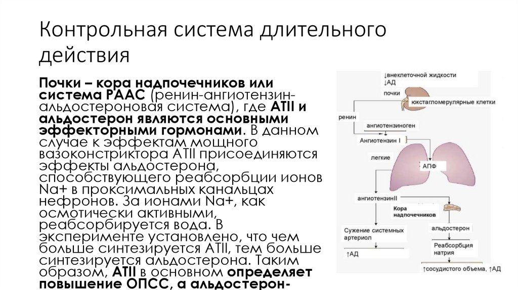 Контрольная система длительного действия