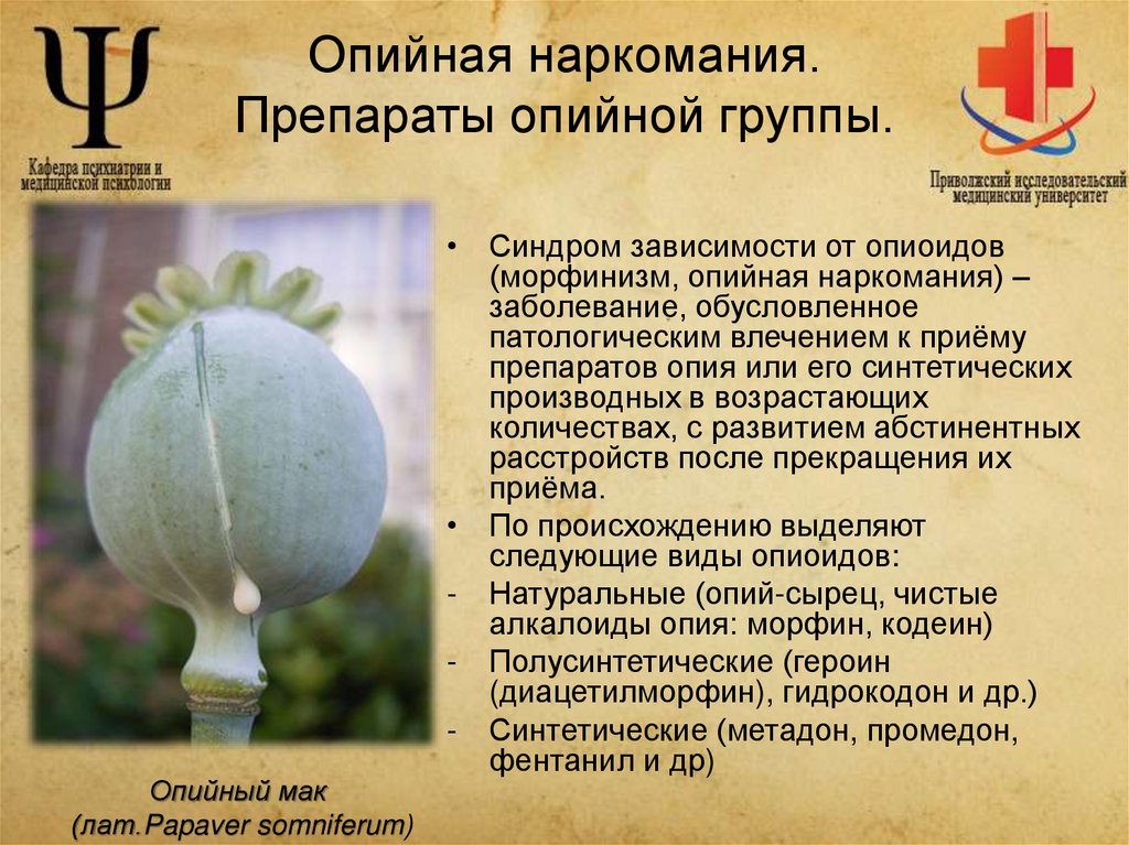 Опийная наркомания. Препараты опийной группы.