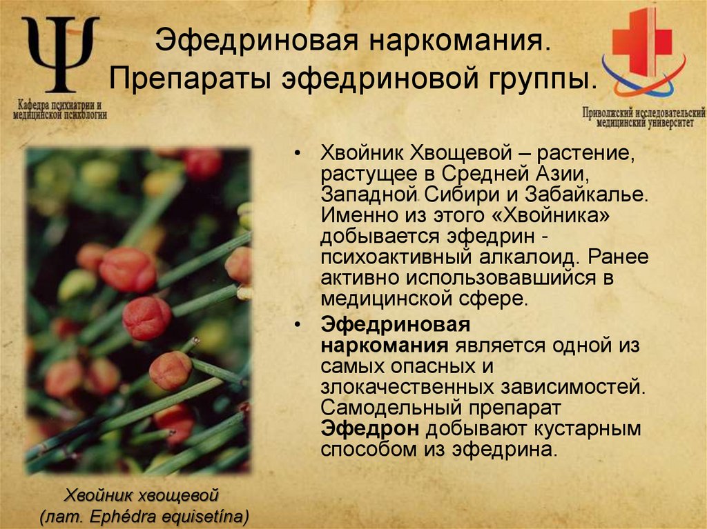 Эфедриновая наркомания. Препараты эфедриновой группы.