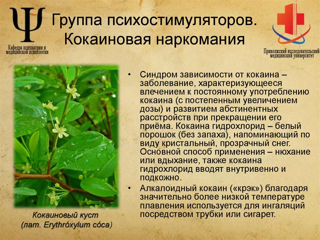 Группа психостимуляторов. Кокаиновая наркомания
