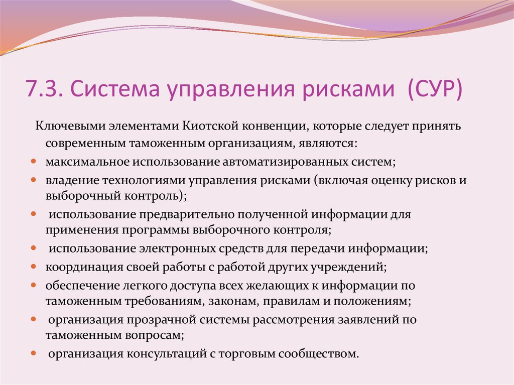 7.3. Система управления рисками (СУР)