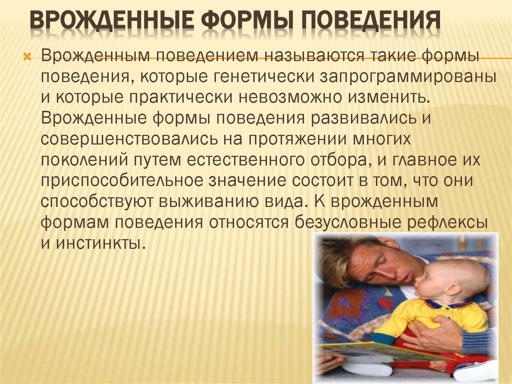  Врожденные формы поведения