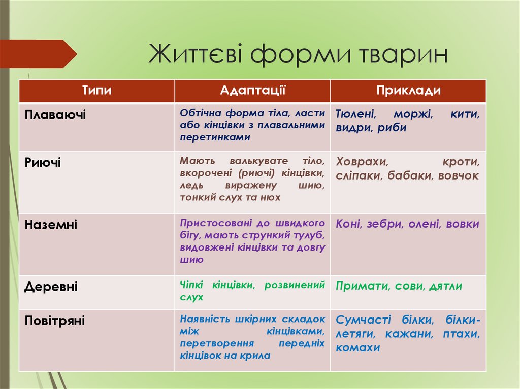 Життєві форми тварин