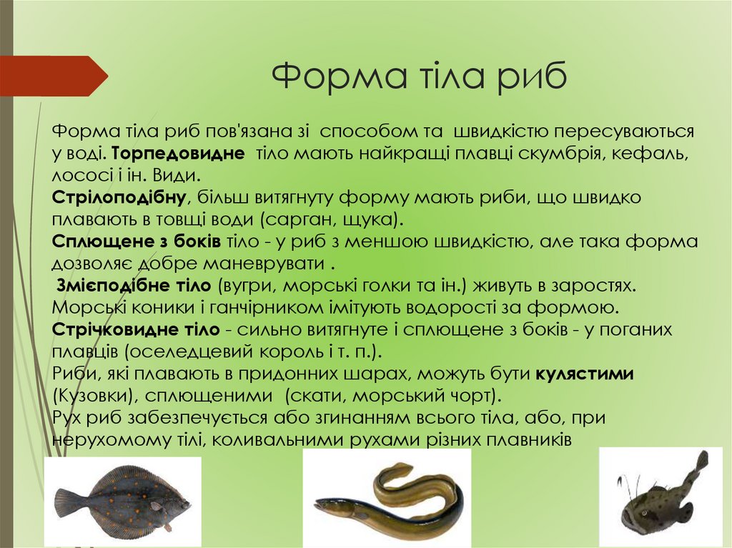 Форма тіла риб