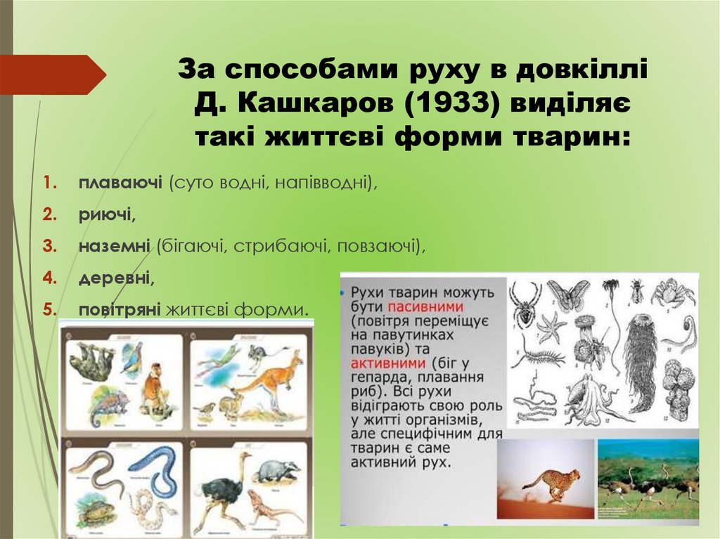 За способами руху в довкіллі Д. Кашкаров (1933) виділяє такі життєві форми тварин: