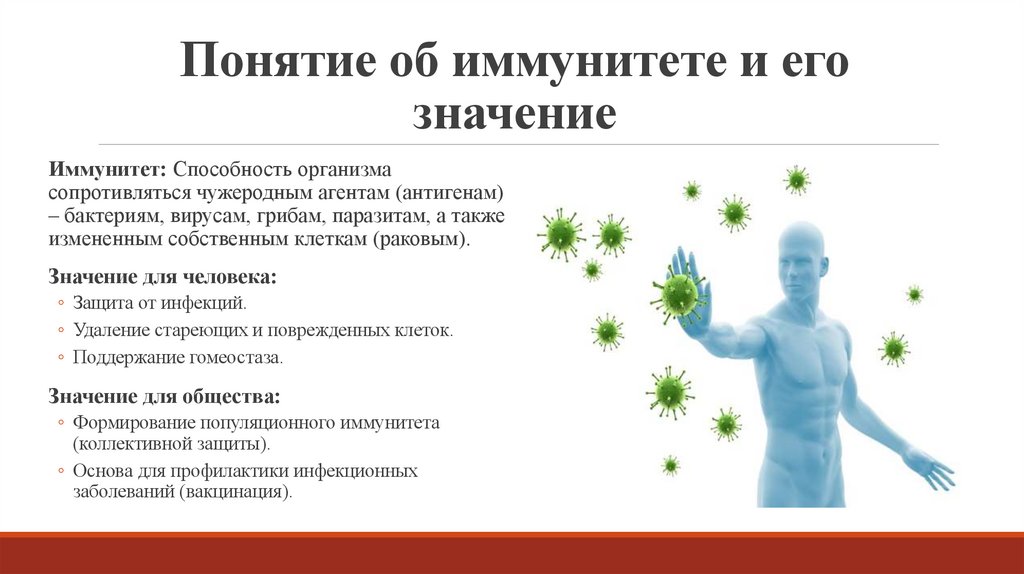 Понятие об иммунитете и его значение