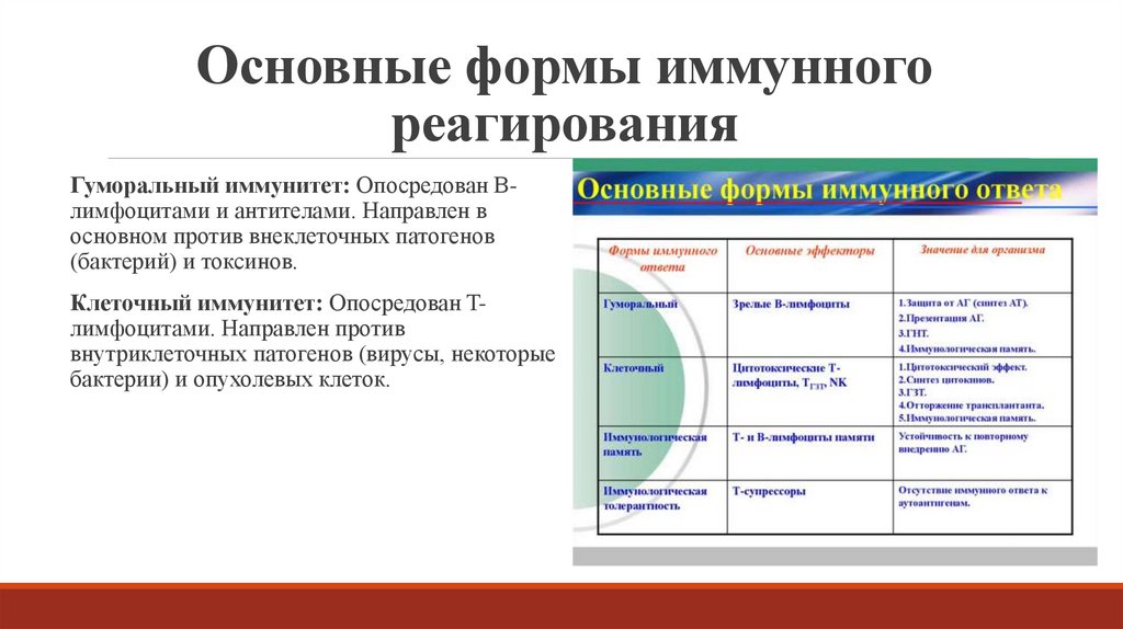 Основные формы иммунного реагирования