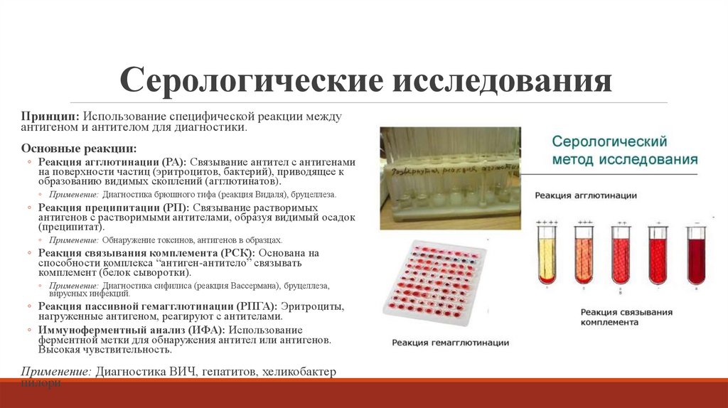 Серологические исследования