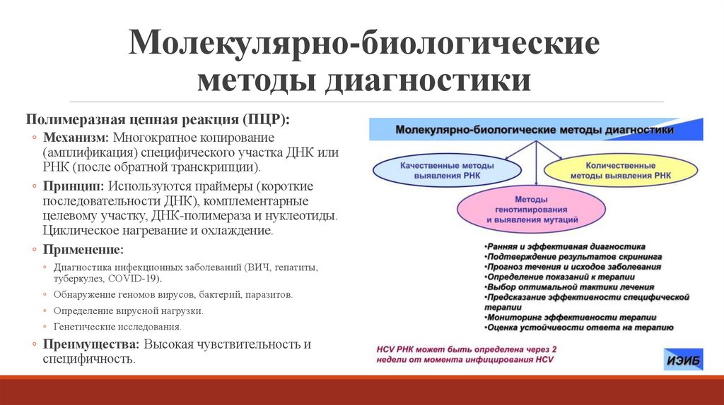 Молекулярно-биологические методы диагностики