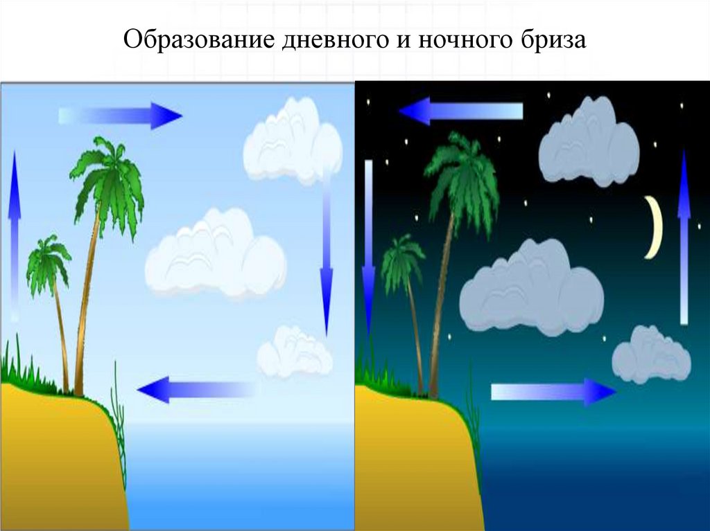Образование дневного и ночного бриза