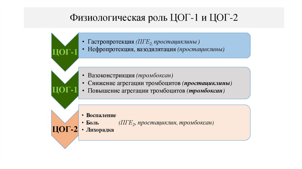 Физиологическая роль ЦОГ-1 и ЦОГ-2