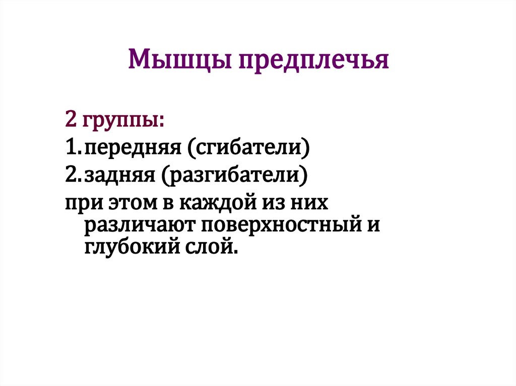 Мышцы предплечья