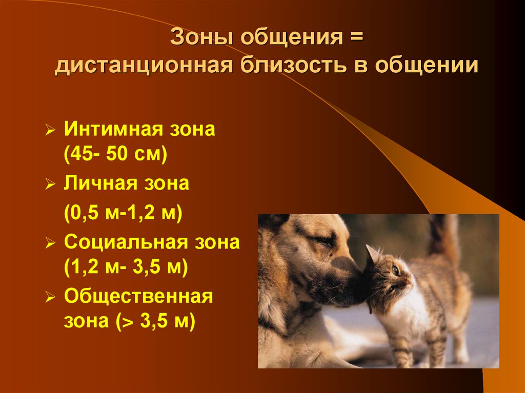 Зоны общения = дистанционная близость в общении