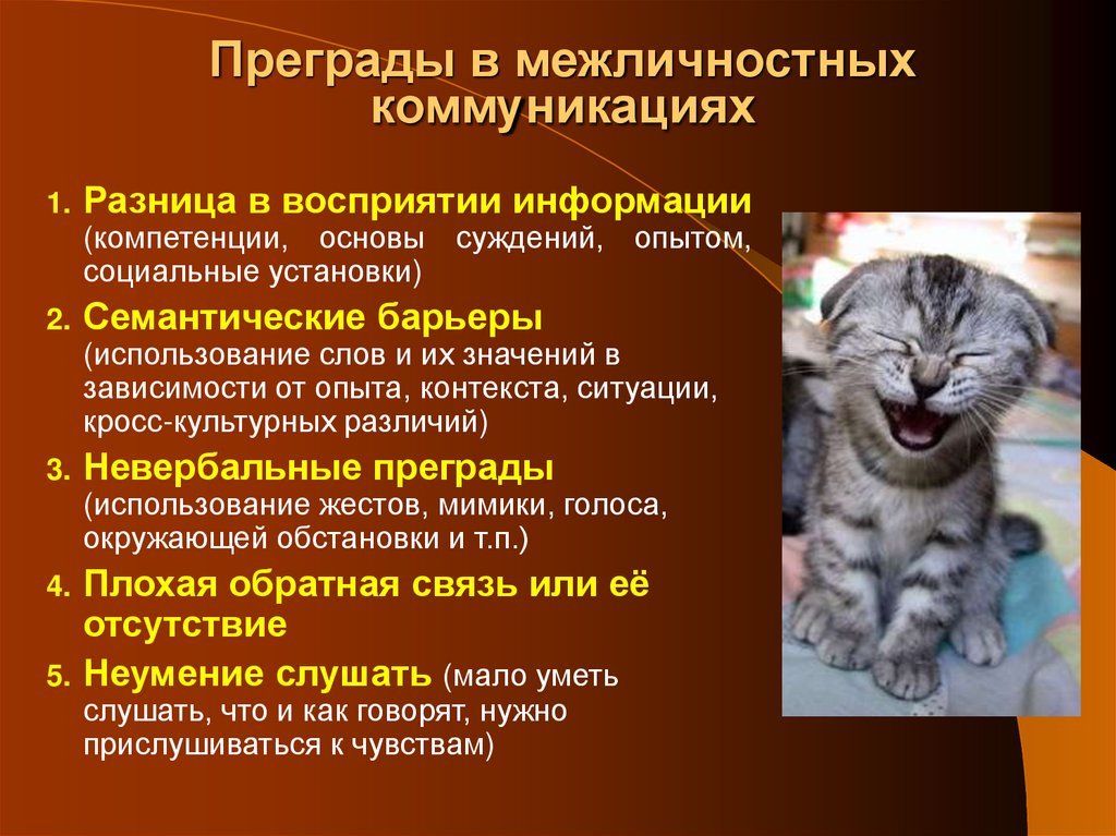 Преграды в межличностных коммуникациях