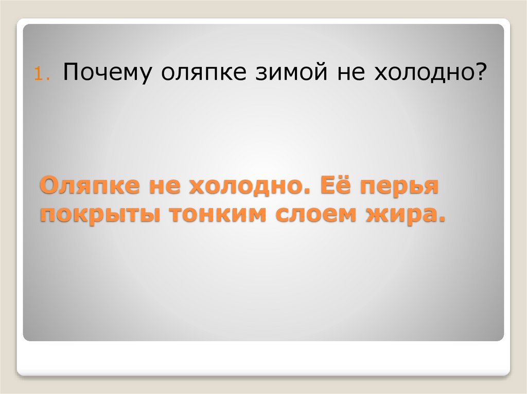 Оляпке не холодно. Её перья покрыты тонким слоем жира.