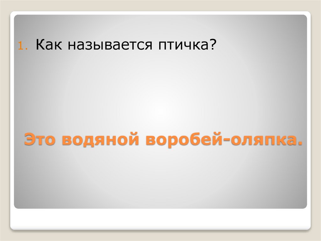 Это водяной воробей-оляпка.