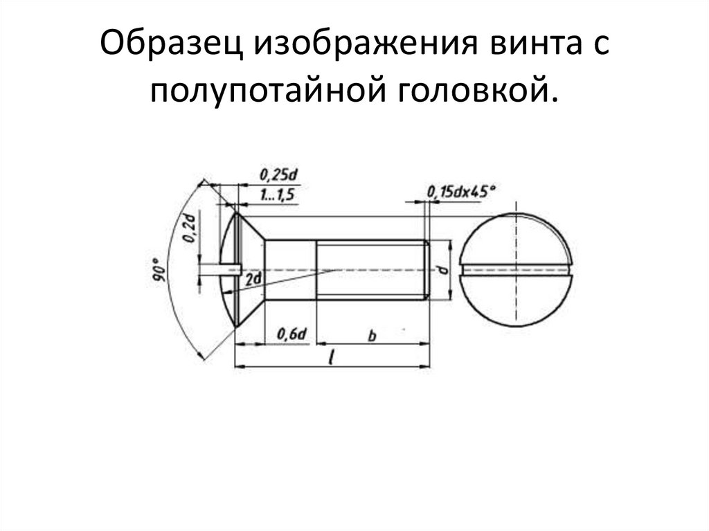 Образец изображения винта с полупотайной головкой.