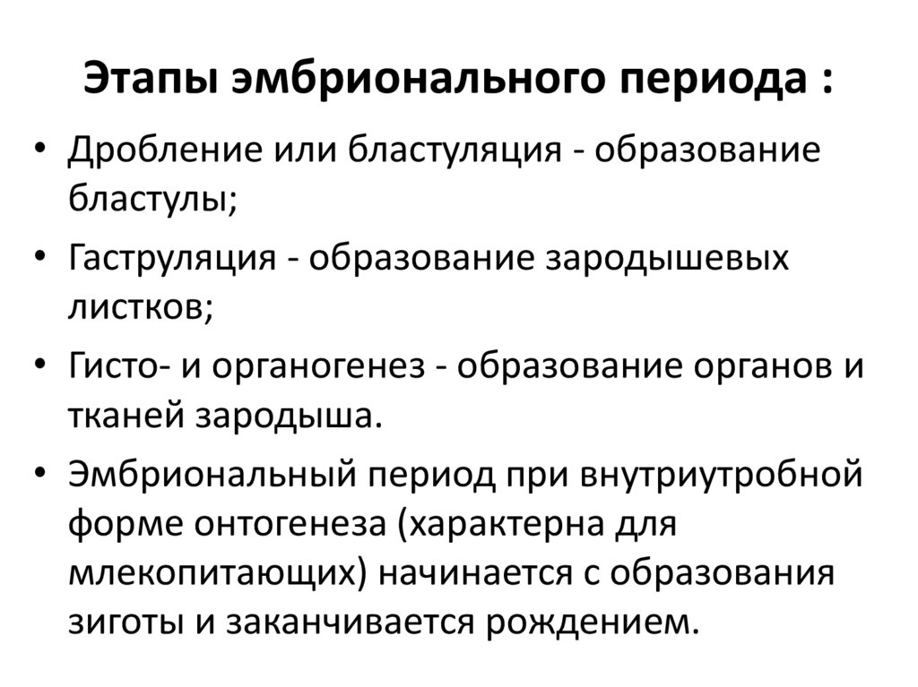 Этапы эмбрионального периода :