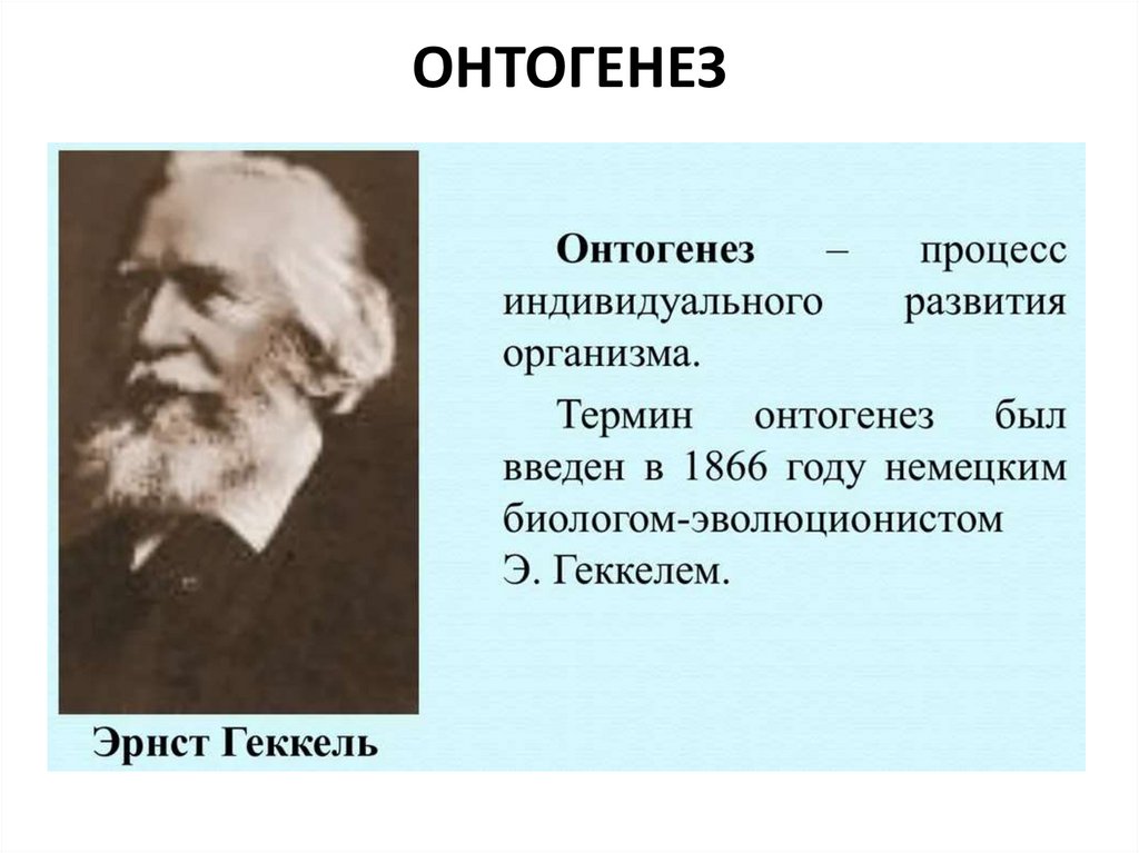 ОНТОГЕНЕЗ