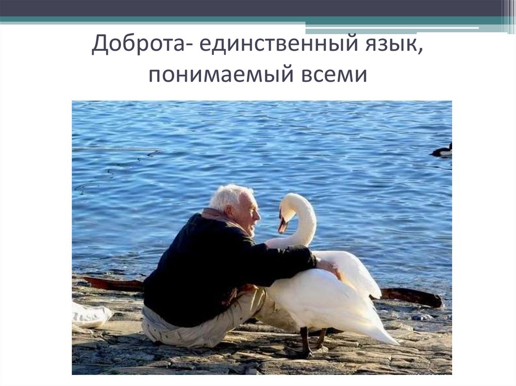 Доброта- единственный язык, понимаемый всеми