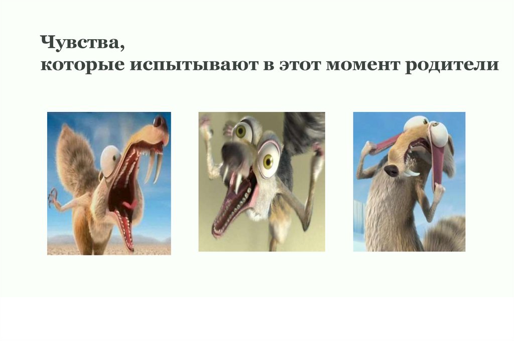 Чувства, которые испытывают в этот момент родители