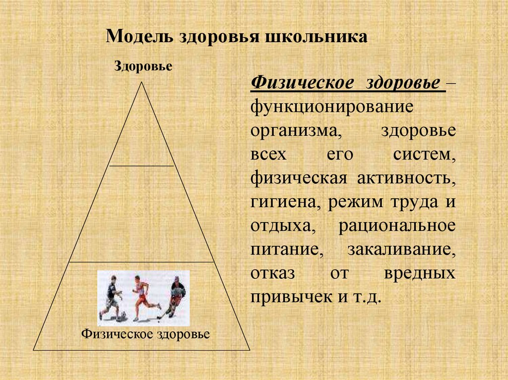 Модель здоровья школьника