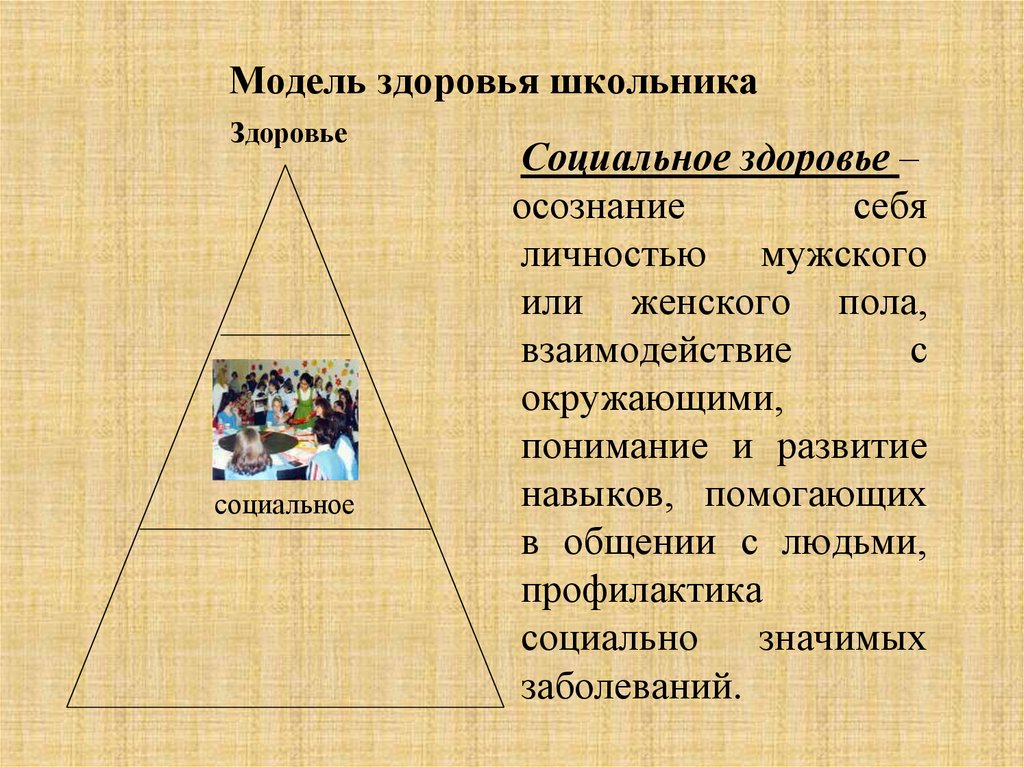 Модель здоровья школьника