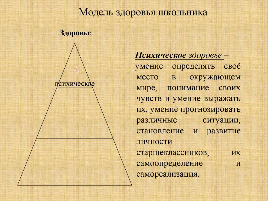 Модель здоровья школьника