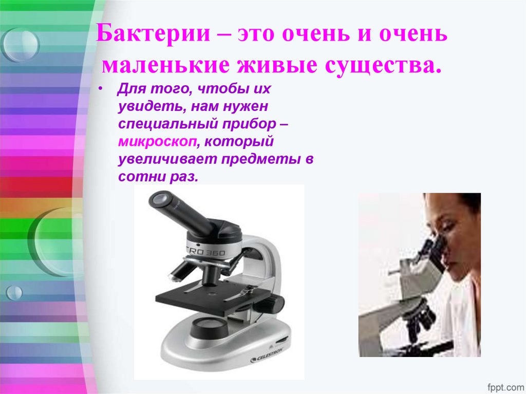 Бактерии – это очень и очень маленькие живые существа.