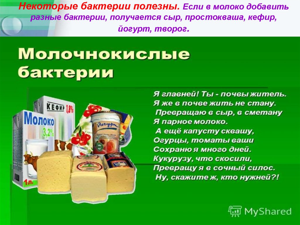 Некоторые бактерии полезны. Если в молоко добавить разные бактерии, получается сыр, простокваша, кефир, йогурт, творог.