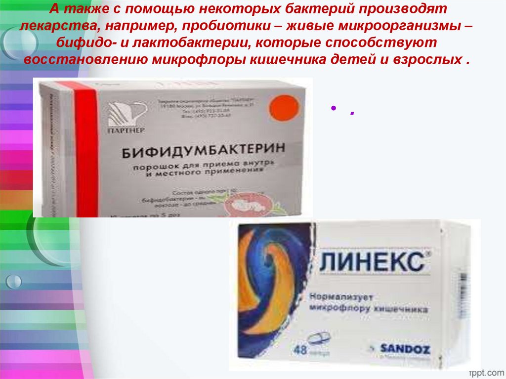  А также с помощью некоторых бактерий производят лекарства, например, пробиотики – живые микроорганизмы – бифидо- и