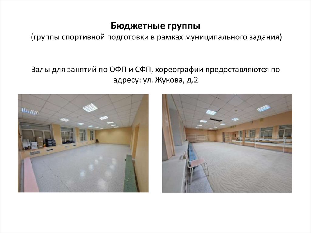 Бюджетные группы (группы спортивной подготовки в рамках муниципального задания)