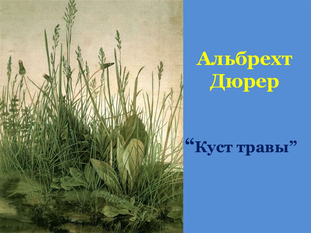 Альбрехт Дюрер