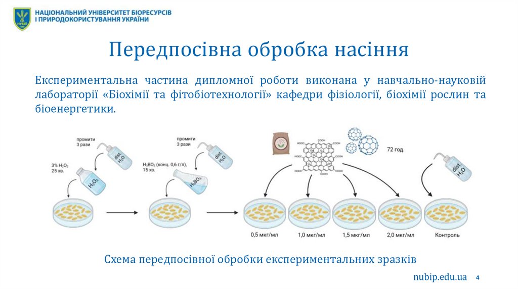 Передпосівна обробка насіння
