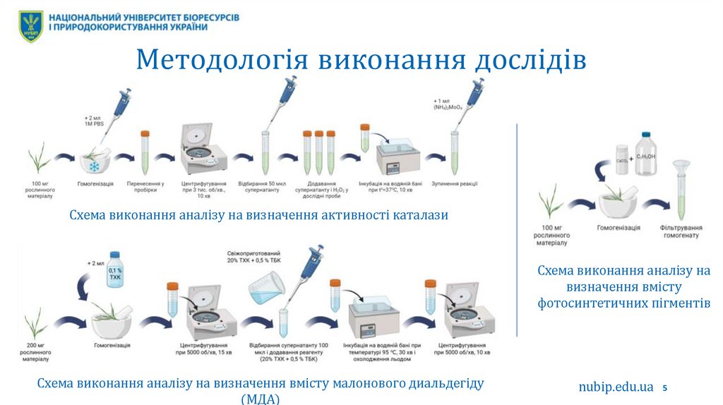 Методологія виконання дослідів