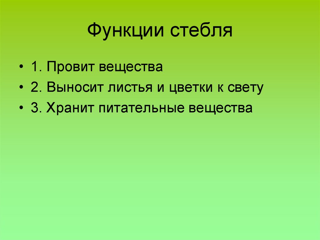 Функции стебля