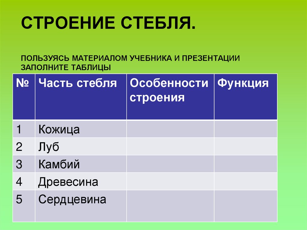 Строение стебля. Пользуясь материалом учебника и презентации Заполните таблицы
