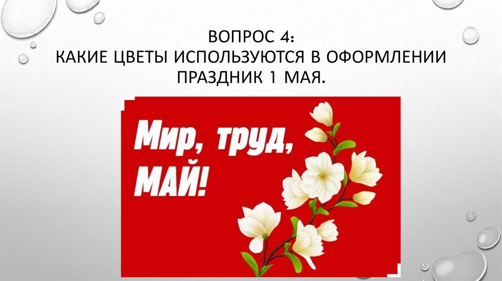 Вопрос 4: Какие цветы используются в оформлении Праздник 1 мая.