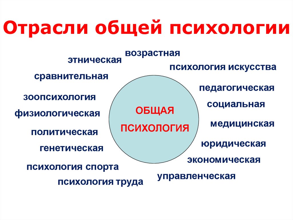 Отрасли общей психологии