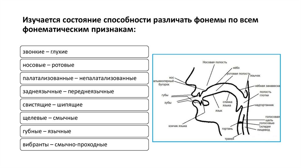 Изучается состояние способности различать фонемы по всем фонематическим признакам: