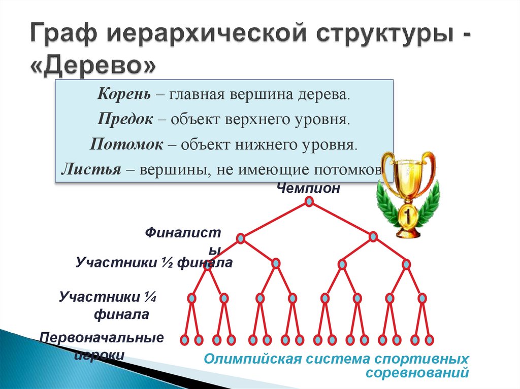 Граф иерархической структуры - «Дерево»