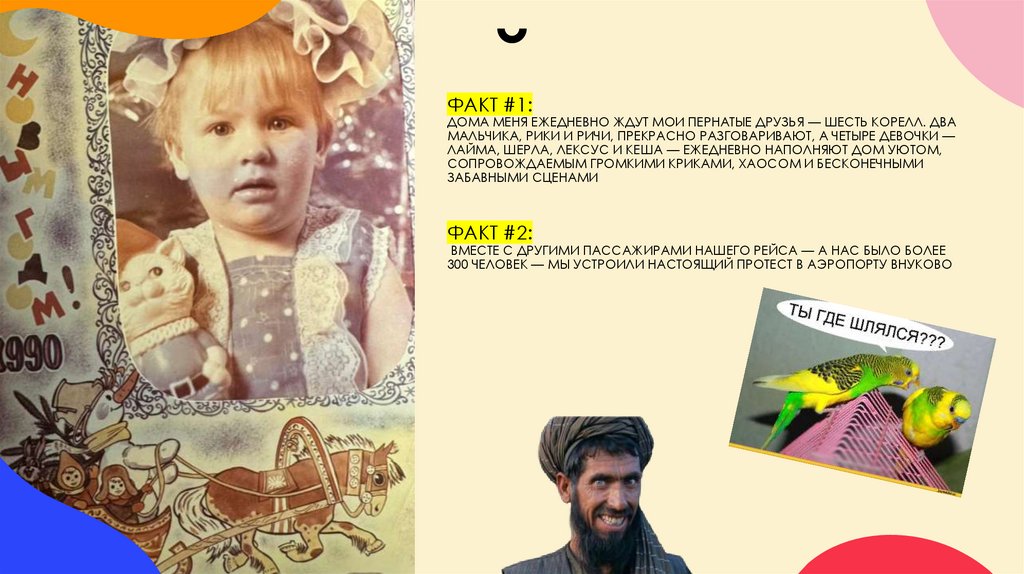 ФАКТ #1: дома меня ежедневно ждут мои пернатые друзья — шесть корелл. Два мальчика, Рики и Ричи, прекрасно разговаривают, а