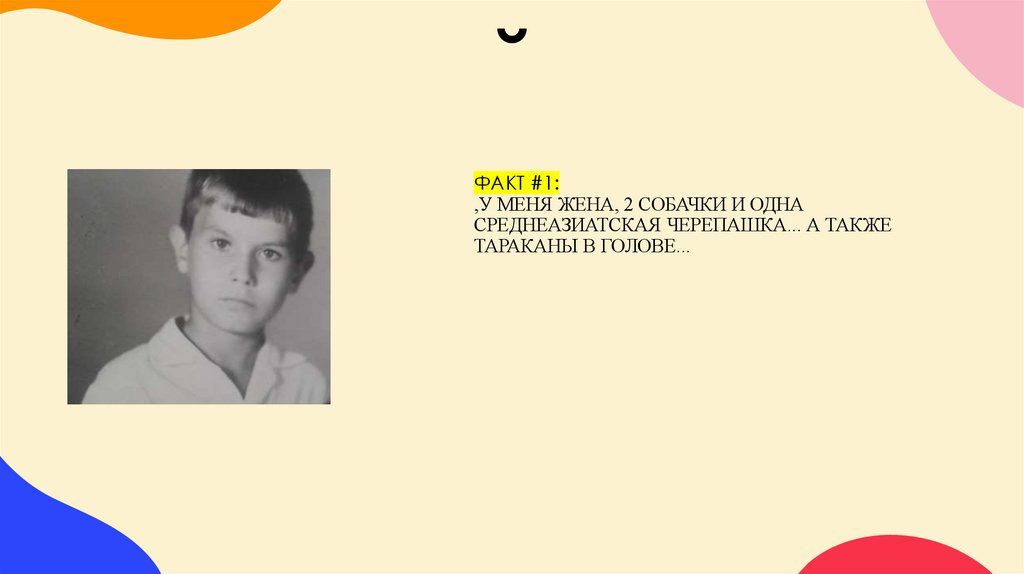 ФАКТ #1: ,у меня жена, 2 собачки и одна среднеазиатская черепашка... А также тараканы в голове...