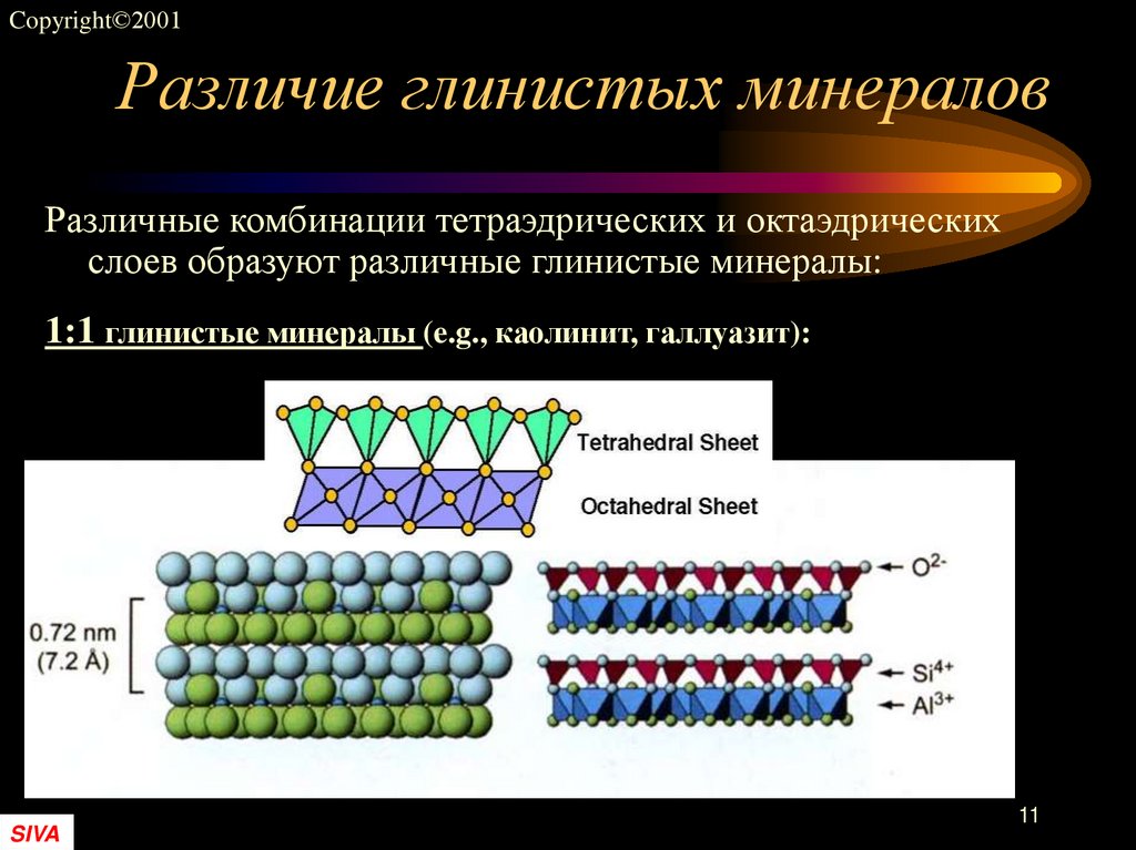 Различие глинистых минералов