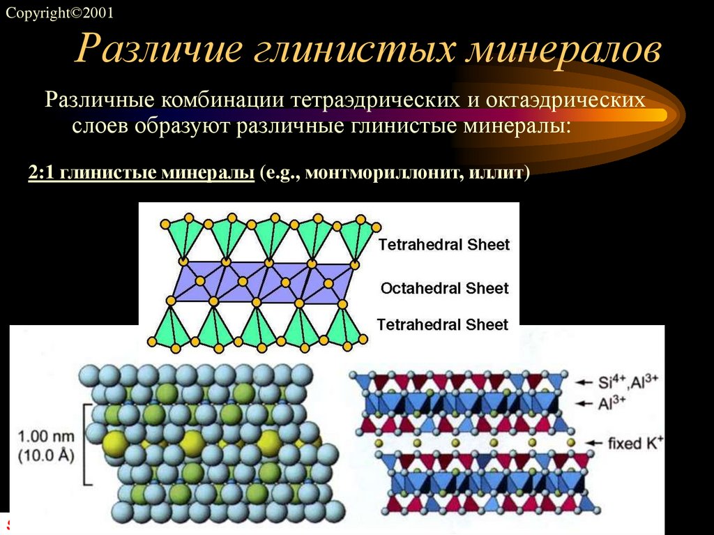 Различие глинистых минералов