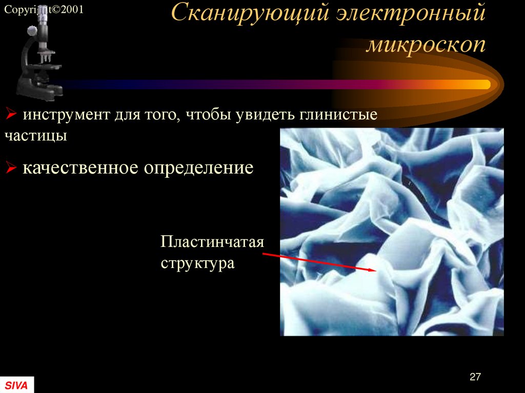 Сканирующий электронный микроскоп